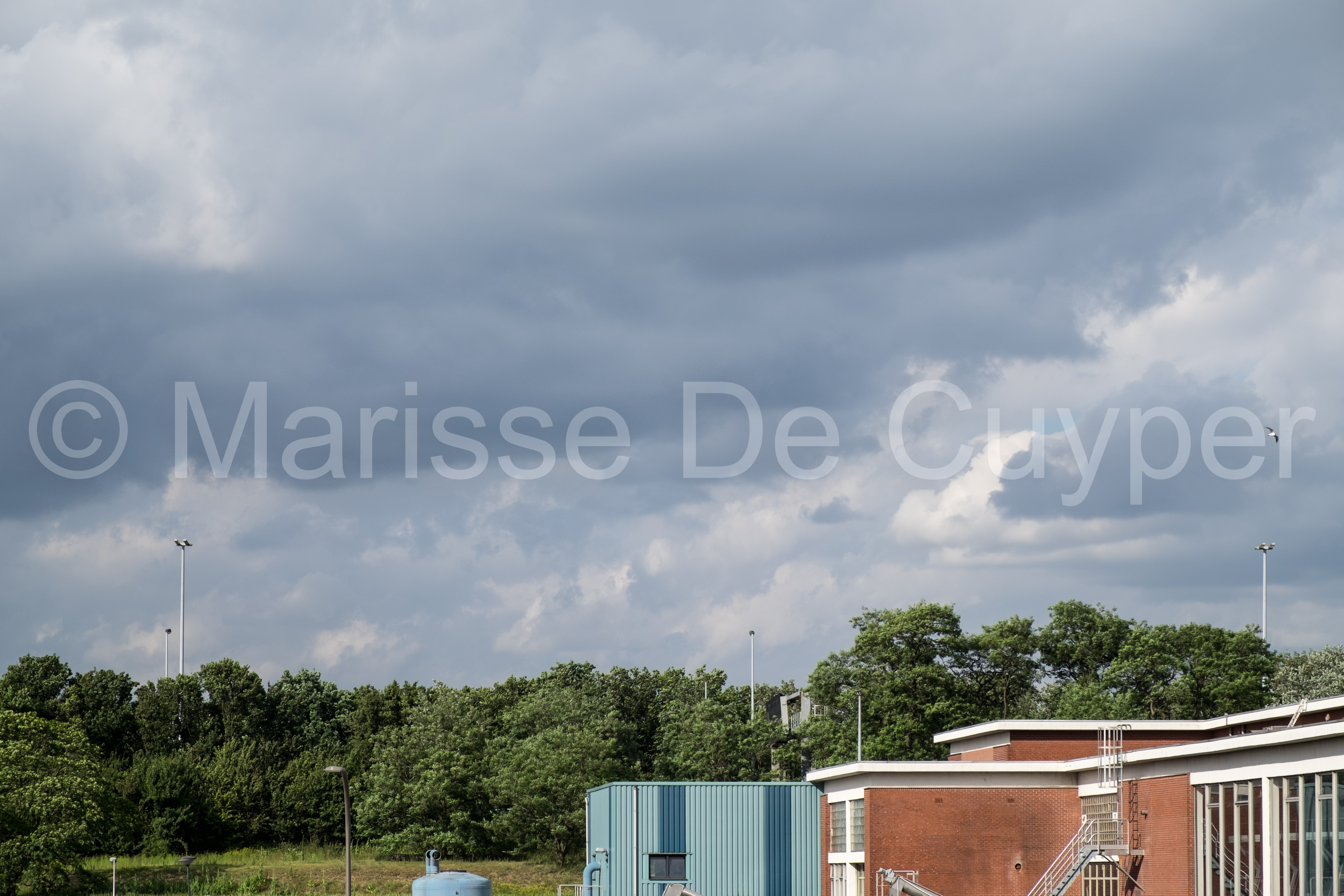_DSF2457