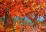 “Colori autunnali