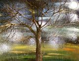  “L’albero della saggezza”