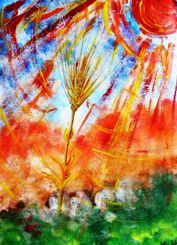  “La spiga di grano” (