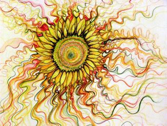 “Girasole”
