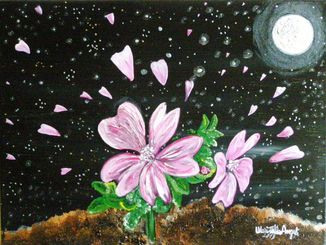 “Fiore di malva” (