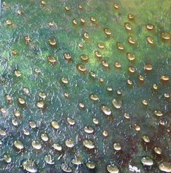 “La sofferenza della natura” 