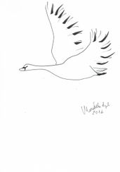  “Il cigno 1”