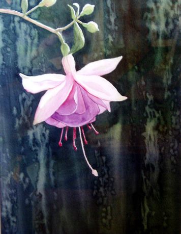Fuchsia