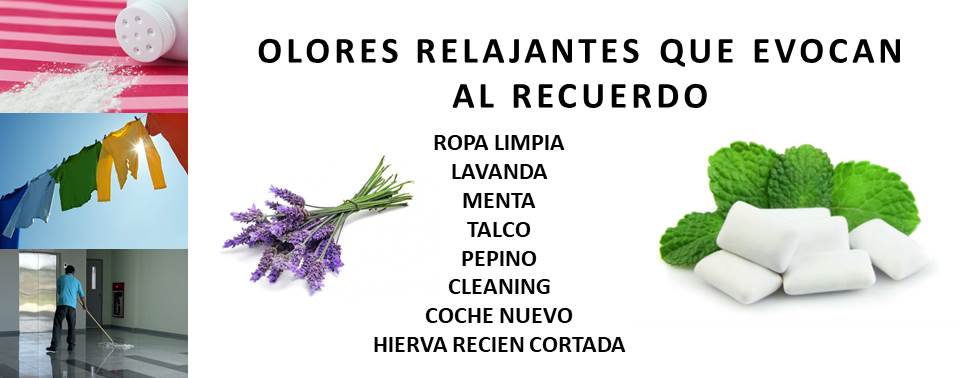 AROMAS 5
