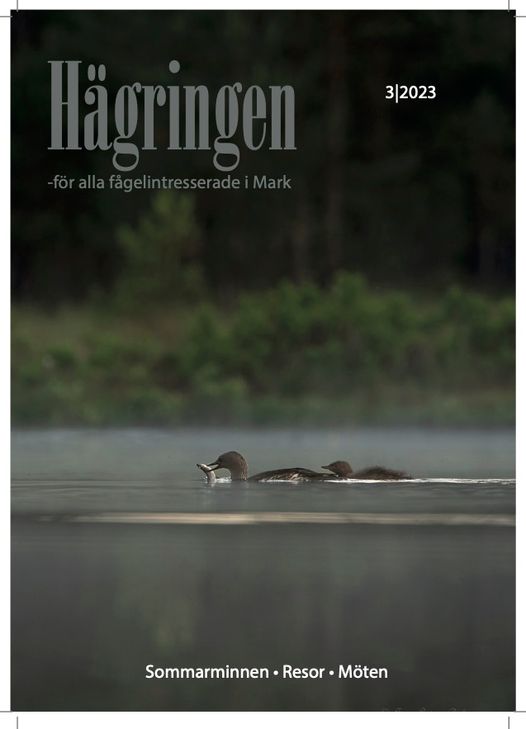 Hägringen 2023-03