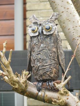 2e uil, nu een boom in de voortuin. maart 2015