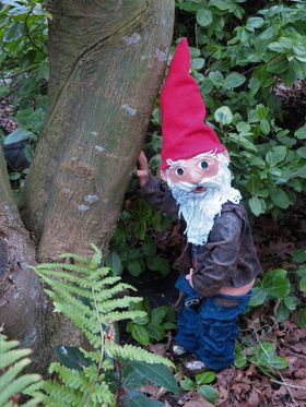 Staat er ineens een kabouter te plassen in mijn tuin ! december 2020