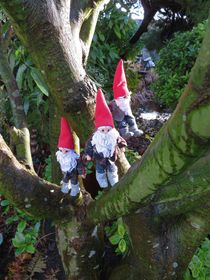 Er zijn ook nog 3 kleine kaboutertjes  ( ca 15 cm) die ik een plekje wil geven in het park, bij een markante boom of zo. December 2020