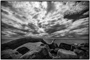 DSCF0124-Edit