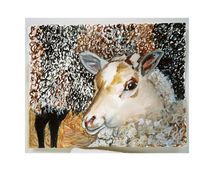 Untitled (Series Animal Portraits)