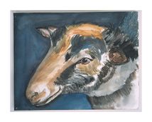 Untitled (Series Animal Portraits)