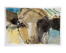 Untitled (Series Animal Portraits)