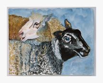 Untitled (Series Animal Portraits)