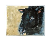 Untitled (Series Animal Portraits)