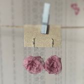 rosa_hängande___serialized1