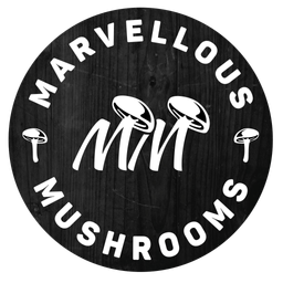 Marvellous Mushrooms, Gourmet Mushroom Grower, Mushroom Grow Kits, Angus, UK