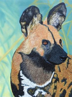 Bathmawathy G, India, Focus, oil