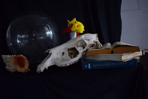 Joseph  Wangari, Kenya, Vanitas, photo