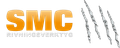 Demolerings verktyg