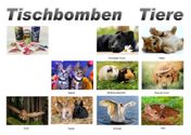 tb tiere 1