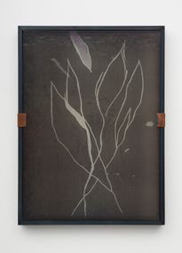 Leaves (rising), 2022