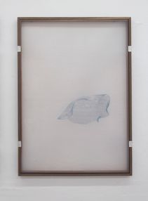 Or Other Transparent Bodies, 2018