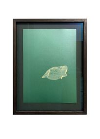 Or other transparent bodies (green), 2017-18