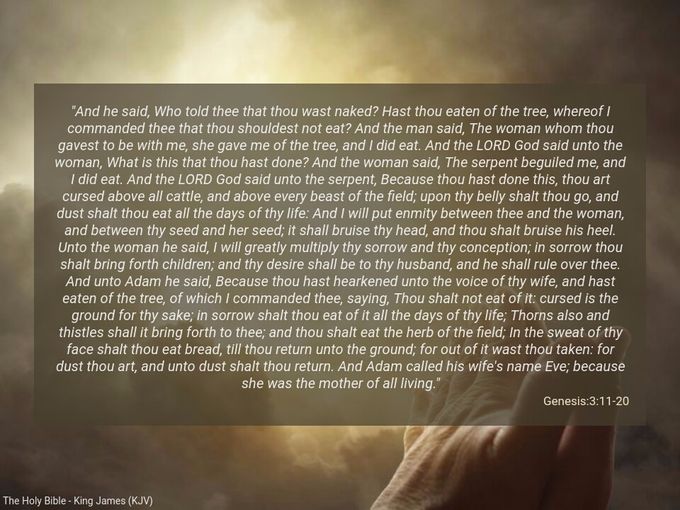 Genesis 3 -11/20 -  
