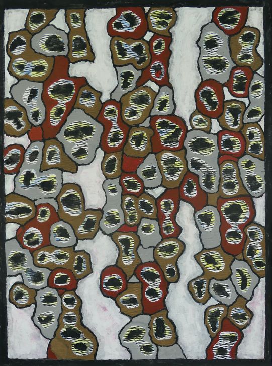rotteknollentuin 30x40