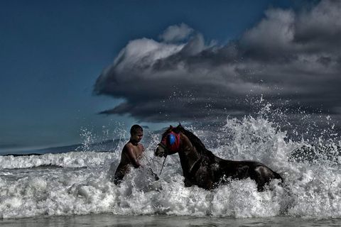 HorseBath