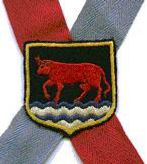Baldrick of the Oxford City Morris, bearing the image of an ox crossing a ford (by courtesy of Oxford City Morris Men)