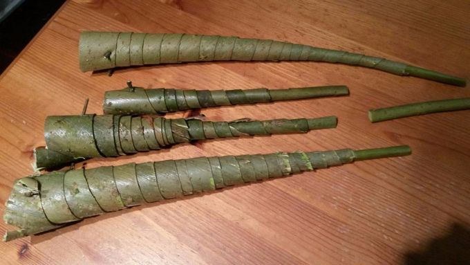 Whit-Horns, recently made from willow bark (modelled from the examples in the Pitt Rivers Museum). They play well apparently. Photo by courtesy of Michael Heaney. 