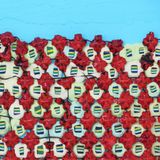 Decorative Wall Graft III