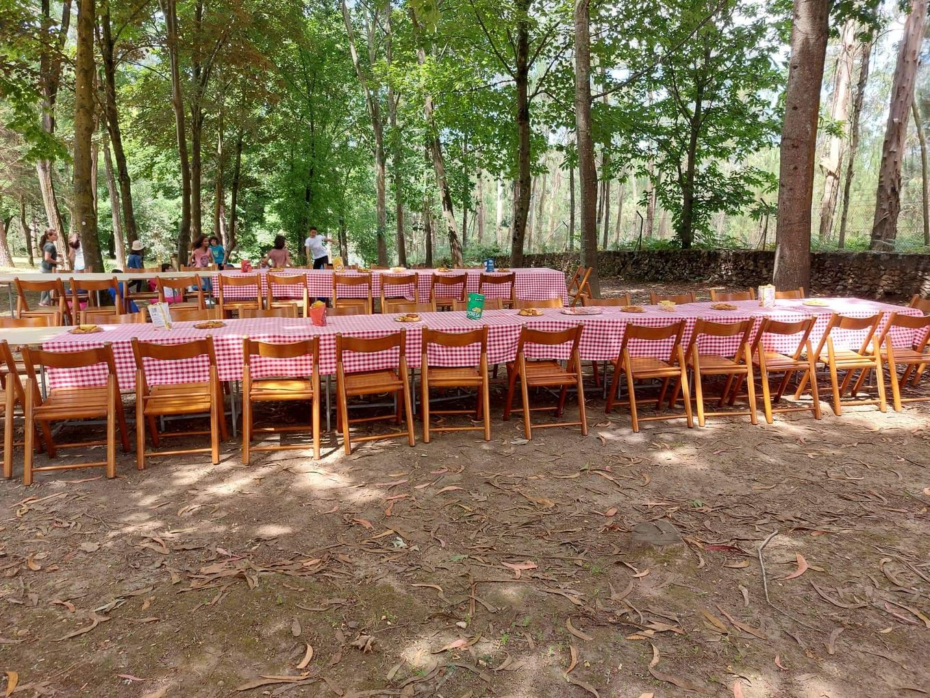 Piquenique no parque