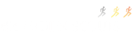 die Medienscouts GmbH