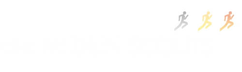 die Medienscouts GmbH