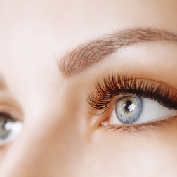 LASH SPA