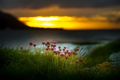 Solnedgang ved skjær og holmar
