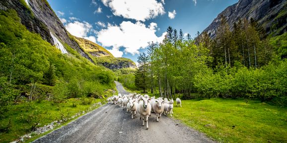 Porten til Herdalssetra