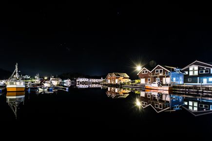 Leinevika
