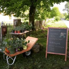 IMG_20210613_084035_391
