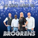 Brogrens Jag kände aldrig dig