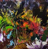Kleurrijke veren (Colorful feathers)