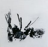 Voltooiing zwart & wit V  (Finishing black & white V)