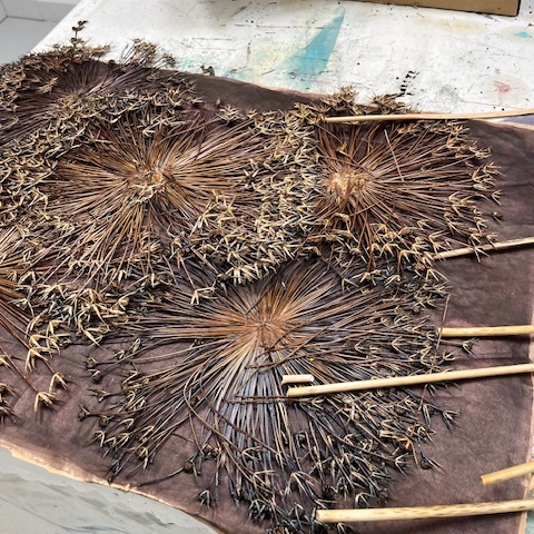 alium 3