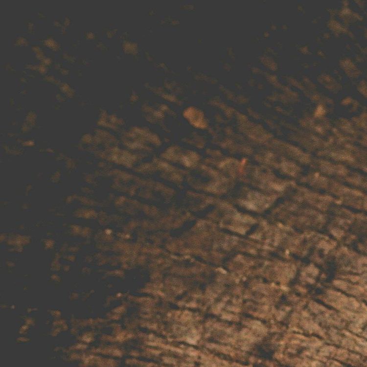 unsplash_XyrZYDr2jWM