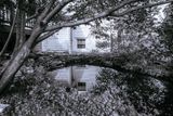 Virginia