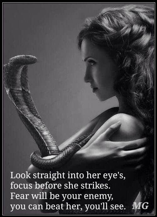 Fear